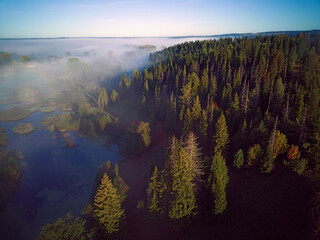 Aerial view landscape on foggy morning in countryside with lake and forest

