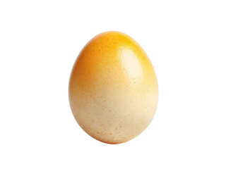 Single oval ovum with gradient color and speckled texture image, Isolated On Png Transparent Background