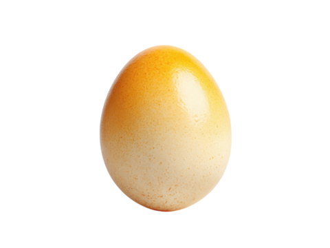 Single oval ovum with gradient color and speckled texture image, Isolated On Png Transparent Background