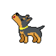 Pixel art a cute doberman dog vector in retro style