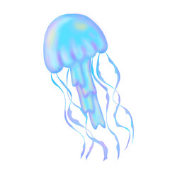 Blue jellyfish 