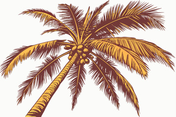 palm tree on white background