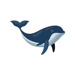 Fototapeta premium A cute cartoon dark blue whale swimming isolated on white background