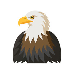 Obraz premium Majestic bald eagle head and shoulders illustration isolated on white background