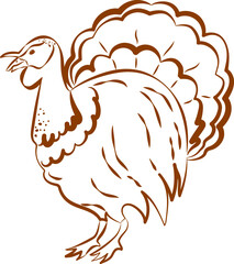 Turkey, bird. Design element, hand-drawn icon, emblem in outline on a white background. Thanksgiving symbol.