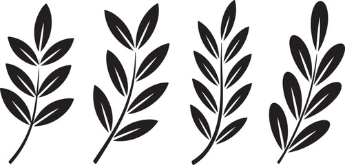 Collection Olive Tree Leaves Branches With Berries Isolated Silhouette