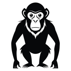 Illustration of a monkey isolated on white background, a primate with fur