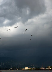 Obraz premium Big cumulus clouds over the mountains, stormy weather at the seaport, boats, sunlight, seagulls flying over the sea.