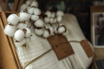 Cotton branch with soft white cotton flowers and a wrapped gift