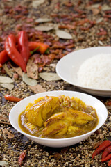 indian curry with rice