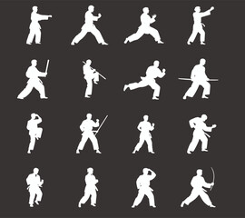 Martial arts, karate pose, self defense, fighting stance, combat training, kickboxing move, karate silhouette, martial discipline, fighter action