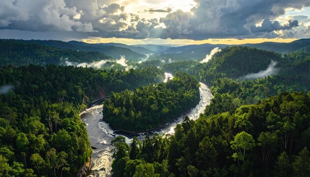 Aerial view of winding river cutting through a dense green forest, dramatic natural scene - Powered by Adobe