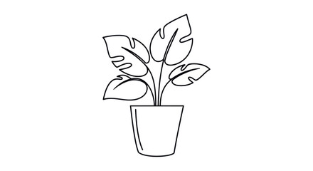 Minimalist one-line drawing of a potted Monstera plant with large fenestrated leaves. © Leo