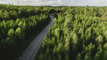 Top-down drone photo of a straight asphalt road dividing a dense coniferous forest. The symmetrical composition and rich green tones create a peaceful, natural atmosphere. 