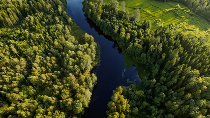 Drone photo of a winding river surrounded by dense forest and green fields. Captured in golden light, the contrast between the dark water and vibrant vegetation creates a stunning natural composition.