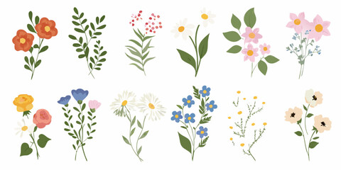 Collection of hand drawn watercolor style floral elements and botanical illustrations on white background