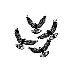 Four Hawks in Flight Black and White Silhouette Art Print Illustration