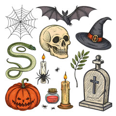 Halloween Elements: Hand-Drawn Illustrations for Spooky Designs on transparent background