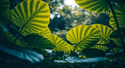 Dramatic foliage arrangement showcasing natural beauty and luminosity
