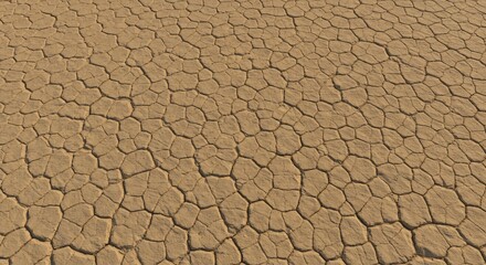 A closeup of cracked dry earth forming an irregular polygonal pattern The surface is tan and textured