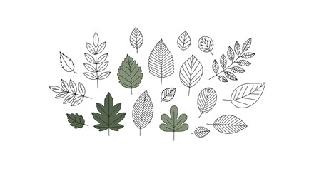 A collection of diverse leaf illustrations featuring botanical elements and natural textures for artistic projects