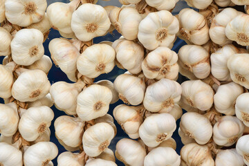 Dry garlic is hanging on the market