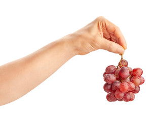 red grape in hand path isolated on white