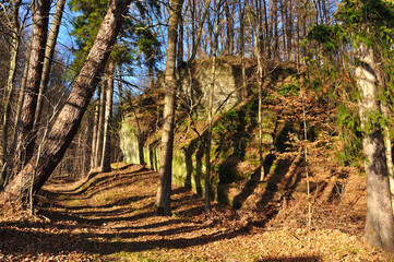 Rezerwat Przyrody "Nad Groblą" (Park Krajobrazowy "Chełmy").Słońce oblewa spokojną leśną ścieżkę rezerwatu w pobliżu skalistego klifu, otoczoną bujną, jesienną roślinnością. © Pol Badger