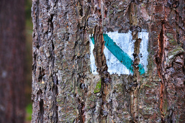 Rezerwat Przyrody "Nad Groblą" (Park Krajobrazowy "Chełmy").Znak szlaku ścieżki przyrodniczej w rezerwacie na korze drzewa w leśnym otoczeniu. © Pol Badger