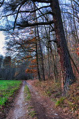 Góry Kaczawskie - (Park Krajobrazowy 
