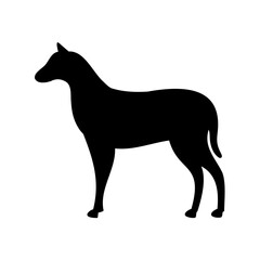 Elegant black silhouette of a horse standing on a white background