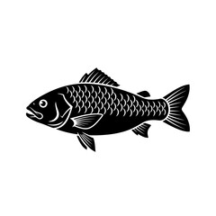 Obraz premium Black silhouette of a single carp fish facing left