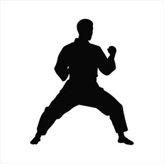 Silhouette of a martial artist in a fighting stance ready for action dynamic pose