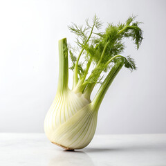 A fresh fennel bulb levitates midair against a pure white background.