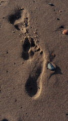 Footprints on the beach in the sand