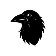 A close up of a black and white dog s face with a white blaze