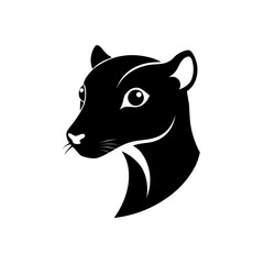 Abstract white lines on black background