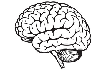 Brain silhouette icon simple vector illustration isolated on white background for medical concepts
