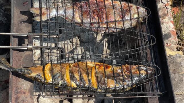 Whole dourade and mackerel during grilling outdoors, top view