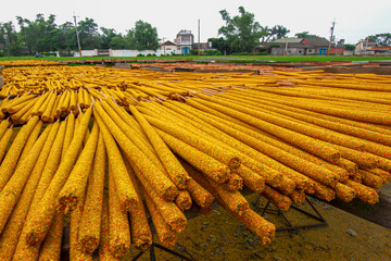 Rows of golden, handmade incense sticks laid out to dry under the sun in Xianxi Township, Changhua County, Taiwan, a traditional manufacturing process.