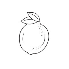 Lemon Fruit Outline With Two Green Leaves Line Art Of Lemon On White Background Vector Illustration