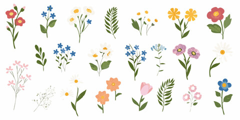 Collection of various hand drawn wildflowers and green leaves isolated on white background © Bijoy