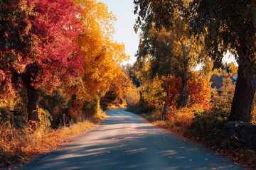Experience the charm of fall along a scenic country road lined with brilliant autumn leaves, creating a colorful landscape that highlights the beauty of the changing season and the tranquility of