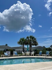 A pool with palm trees and clouds 
