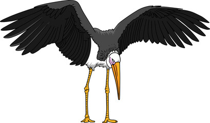 black stork vector illustration isolated on white background