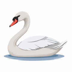 Obraz premium Schwan