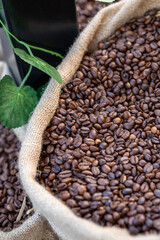 Freshly Roasted Natural Coffees and Plants in a Sack
