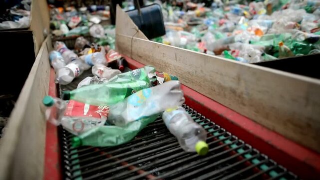Plastic bottle recycling process at plant conveyor belt sorting system.