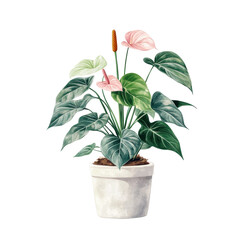 Fototapeta premium Potted anthurium plant, A healthy potted anthurium plant featuring lush green foliage and striking red blooms, displayed in a simple pot, isolated on transparent background