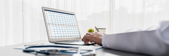 Accounting software on computer screen showing financial statement spreadsheets and account balance...